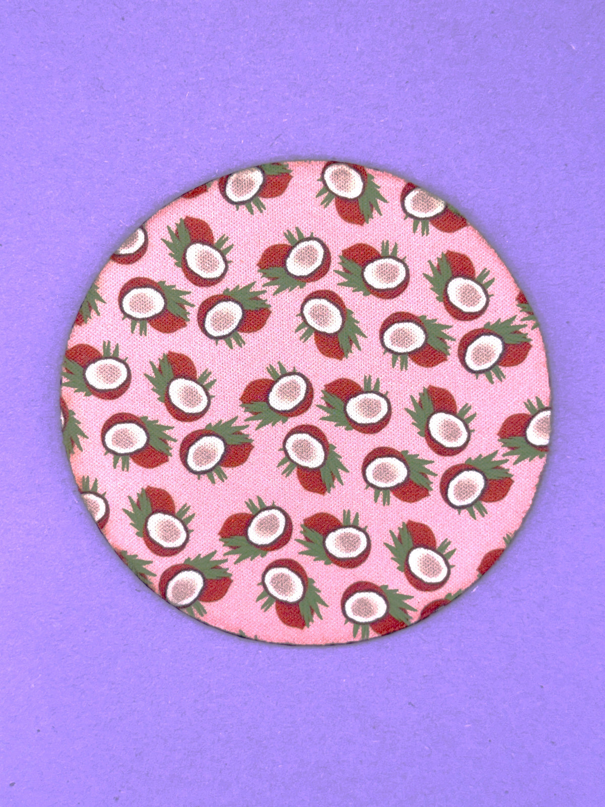 Fruit Themed Non-Slip Coasters